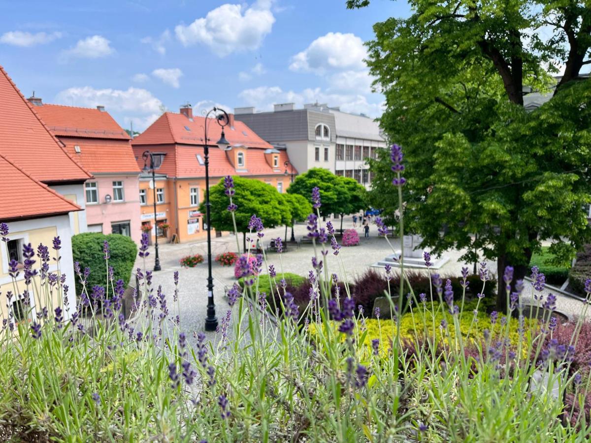 Apartament Lawendowy Wałbrzych Eksteriør billede